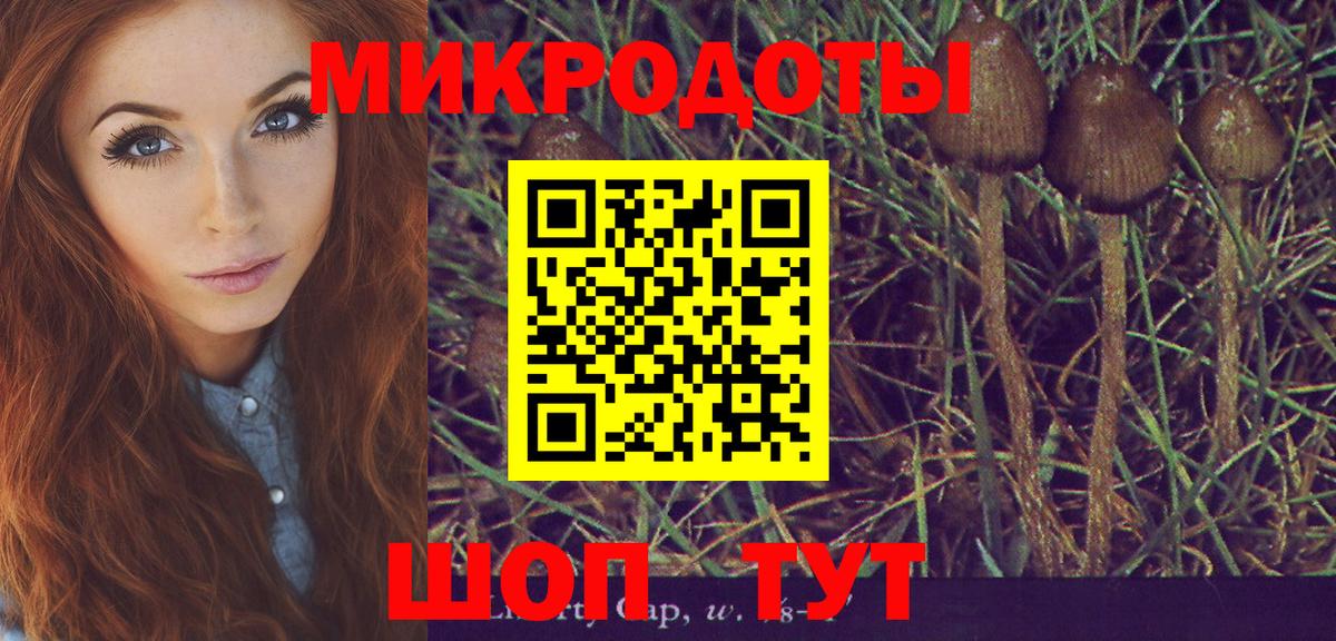 Галлюциногенные грибы Magic Shrooms Ессентуки