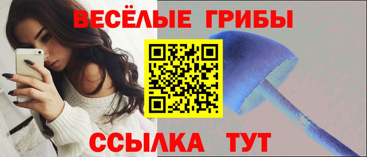 дарнет шоп  Галлюциногенные грибы GOLDEN TEACHER  Псилоцибиновые грибы мухоморы  Вход с VPN  Ессентуки 