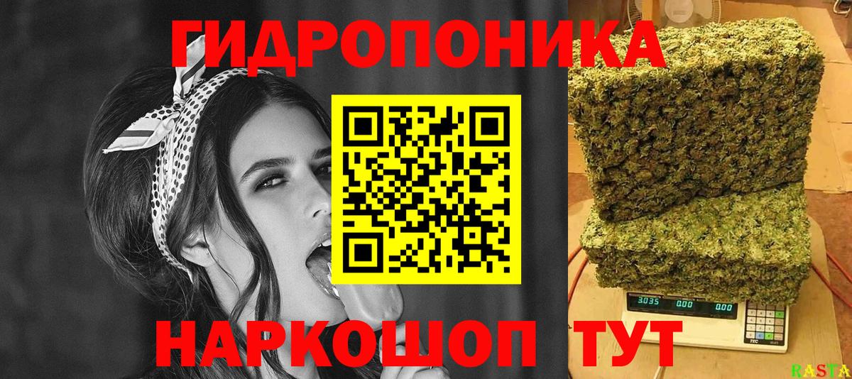 Конопля план  Вход с VPN  Конопля индика  Ессентуки  Бошки марихуана конопля  Марихуана индика 